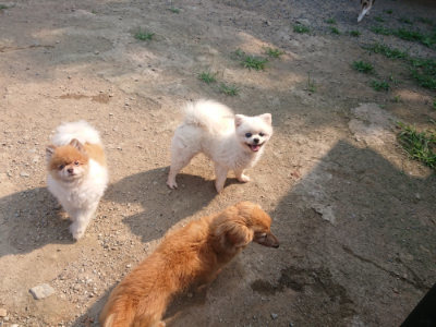 f:id:roukenhome-ann:20190802192022j:plain