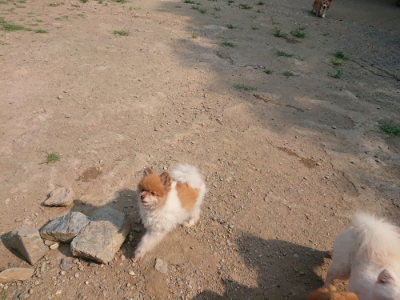 f:id:roukenhome-ann:20190802192033j:plain