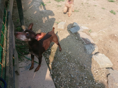 f:id:roukenhome-ann:20190802192039j:plain