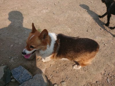 f:id:roukenhome-ann:20190802192103j:plain