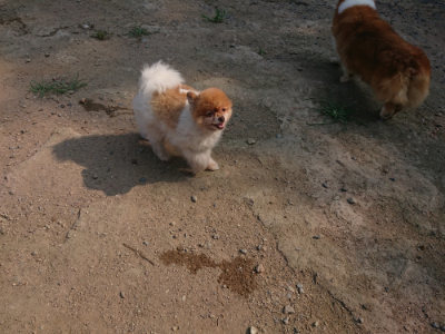 f:id:roukenhome-ann:20190802192133j:plain