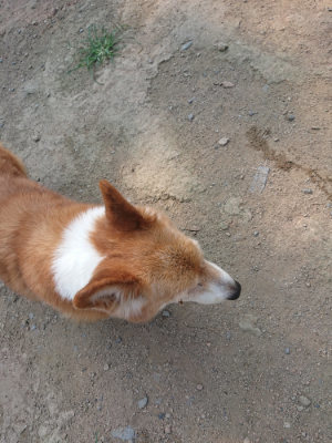 f:id:roukenhome-ann:20190802192204j:plain