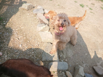 f:id:roukenhome-ann:20190802192209j:plain