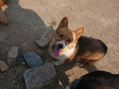 f:id:roukenhome-ann:20190802192216j:plain