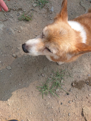 f:id:roukenhome-ann:20190802192237j:plain