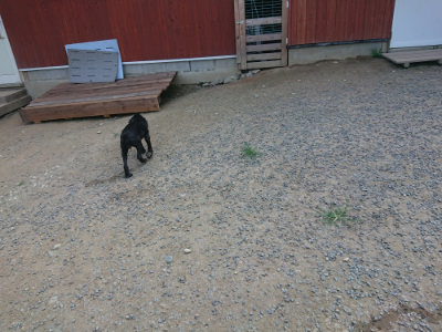 f:id:roukenhome-ann:20190802192258j:plain