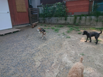 f:id:roukenhome-ann:20190802192310j:plain