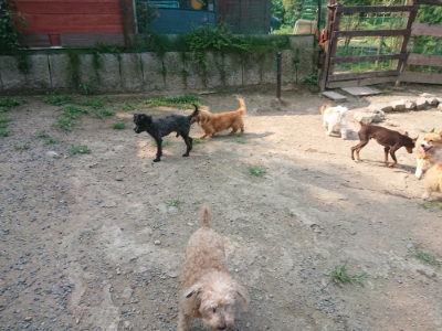 f:id:roukenhome-ann:20190802192317j:plain