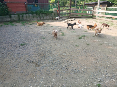 f:id:roukenhome-ann:20190802192403j:plain