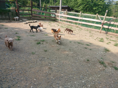 f:id:roukenhome-ann:20190802192412j:plain