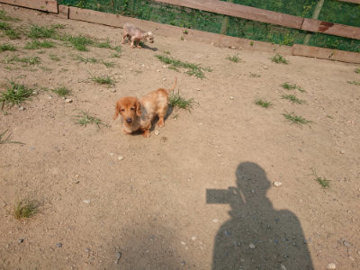 f:id:roukenhome-ann:20190802192422j:plain