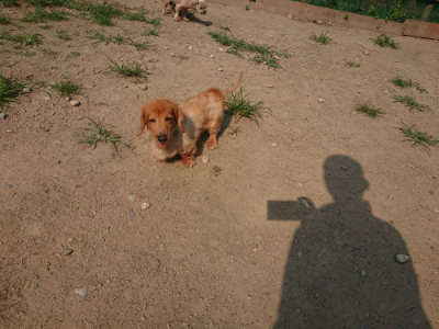 f:id:roukenhome-ann:20190802192445j:plain