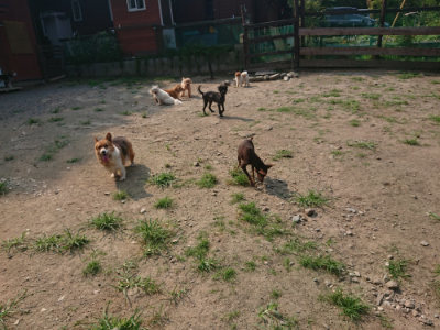 f:id:roukenhome-ann:20190802192538j:plain