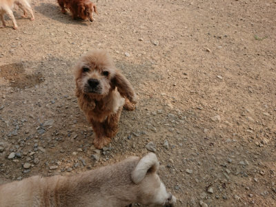 f:id:roukenhome-ann:20190803121822j:plain f:id:roukenhome-ann:20190803121822j:plain