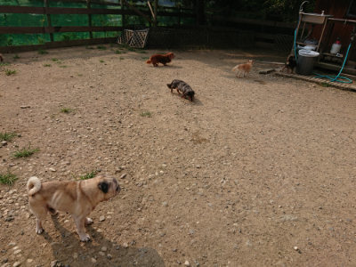 f:id:roukenhome-ann:20190803121850j:plain f:id:roukenhome-ann:20190803121850j:plain