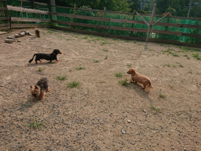 f:id:roukenhome-ann:20190803121952j:plain f:id:roukenhome-ann:20190803121952j:plain