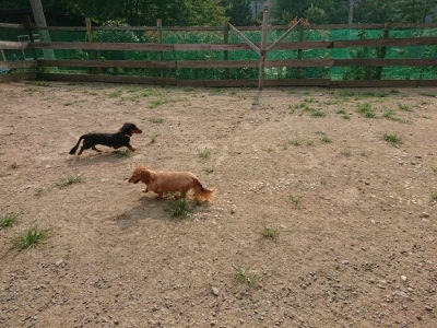 f:id:roukenhome-ann:20190803122033j:plain f:id:roukenhome-ann:20190803122033j:plain