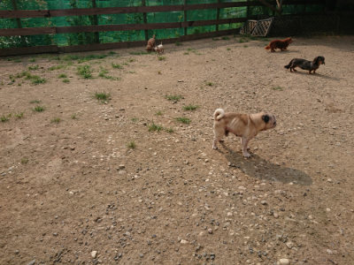 f:id:roukenhome-ann:20190803122040j:plain f:id:roukenhome-ann:20190803122040j:plain