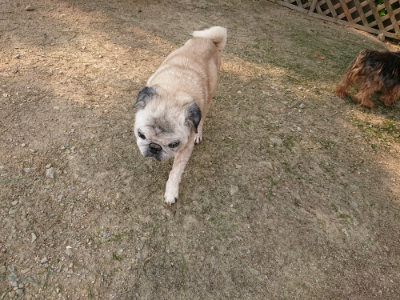 f:id:roukenhome-ann:20190803122050j:plain f:id:roukenhome-ann:20190803122050j:plain