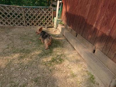f:id:roukenhome-ann:20190803122057j:plain f:id:roukenhome-ann:20190803122057j:plain