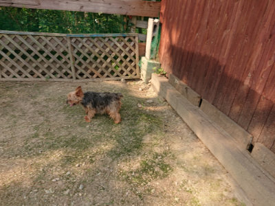 f:id:roukenhome-ann:20190803122118j:plain f:id:roukenhome-ann:20190803122118j:plain