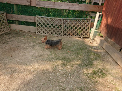 f:id:roukenhome-ann:20190803122124j:plain f:id:roukenhome-ann:20190803122124j:plain