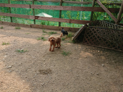 f:id:roukenhome-ann:20190803122153j:plain f:id:roukenhome-ann:20190803122153j:plain