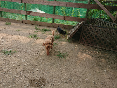 f:id:roukenhome-ann:20190803122215j:plain f:id:roukenhome-ann:20190803122215j:plain