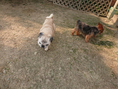 f:id:roukenhome-ann:20190803122236j:plain f:id:roukenhome-ann:20190803122236j:plain