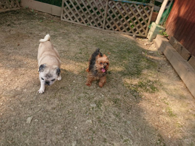 f:id:roukenhome-ann:20190803122257j:plain f:id:roukenhome-ann:20190803122257j:plain