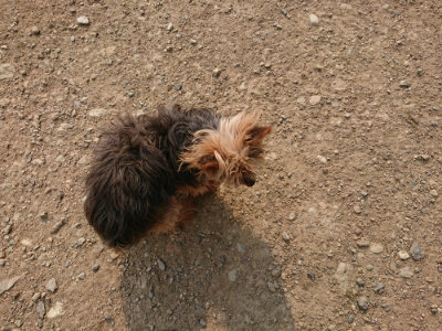 f:id:roukenhome-ann:20190803122331j:plain f:id:roukenhome-ann:20190803122331j:plain