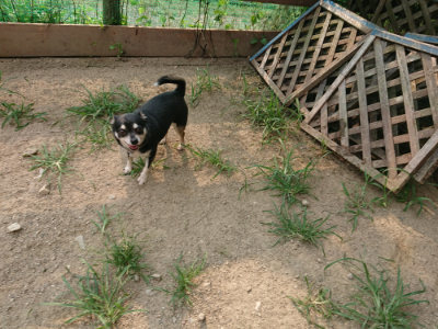 f:id:roukenhome-ann:20190803122339j:plain f:id:roukenhome-ann:20190803122339j:plain