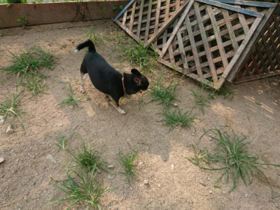 f:id:roukenhome-ann:20190803122345j:plain f:id:roukenhome-ann:20190803122345j:plain