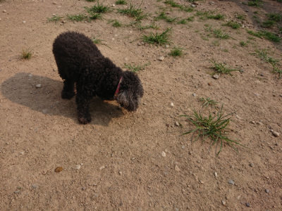 f:id:roukenhome-ann:20190803122358j:plain f:id:roukenhome-ann:20190803122358j:plain