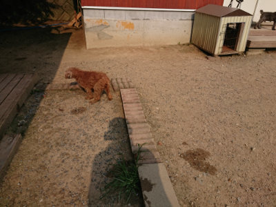 f:id:roukenhome-ann:20190803122411j:plain f:id:roukenhome-ann:20190803122411j:plain