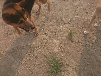 f:id:roukenhome-ann:20190803122519j:plain f:id:roukenhome-ann:20190803122519j:plain