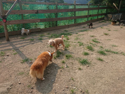 f:id:roukenhome-ann:20190803122525j:plain f:id:roukenhome-ann:20190803122525j:plain