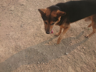 f:id:roukenhome-ann:20190803122536j:plain f:id:roukenhome-ann:20190803122536j:plain
