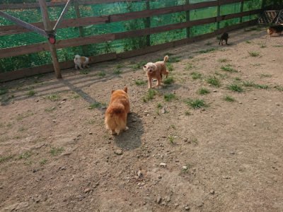 f:id:roukenhome-ann:20190803122543j:plain f:id:roukenhome-ann:20190803122543j:plain