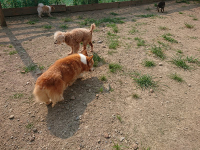 f:id:roukenhome-ann:20190803122604j:plain f:id:roukenhome-ann:20190803122604j:plain
