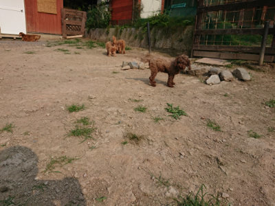 f:id:roukenhome-ann:20190803122616j:plain f:id:roukenhome-ann:20190803122616j:plain