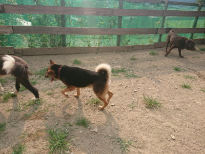 f:id:roukenhome-ann:20190803122647j:plain f:id:roukenhome-ann:20190803122647j:plain