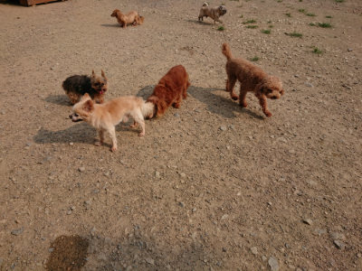f:id:roukenhome-ann:20190803122946j:plain f:id:roukenhome-ann:20190803122946j:plain