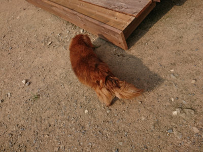 f:id:roukenhome-ann:20190803122952j:plain f:id:roukenhome-ann:20190803122952j:plain