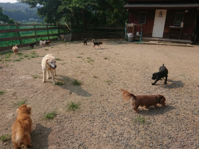 f:id:roukenhome-ann:20190803123019j:plain f:id:roukenhome-ann:20190803123019j:plain