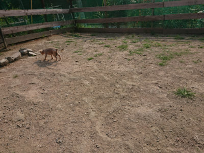 f:id:roukenhome-ann:20190803123110j:plain f:id:roukenhome-ann:20190803123110j:plain