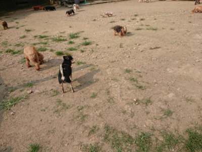 f:id:roukenhome-ann:20190803123117j:plain f:id:roukenhome-ann:20190803123117j:plain
