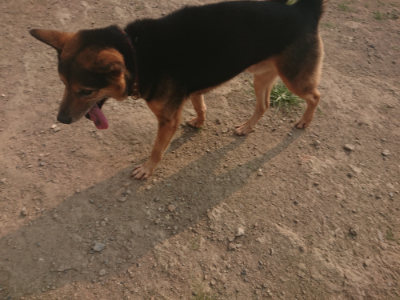 f:id:roukenhome-ann:20190803123123j:plain f:id:roukenhome-ann:20190803123123j:plain