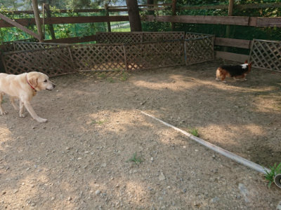 f:id:roukenhome-ann:20190803123150j:plain f:id:roukenhome-ann:20190803123150j:plain