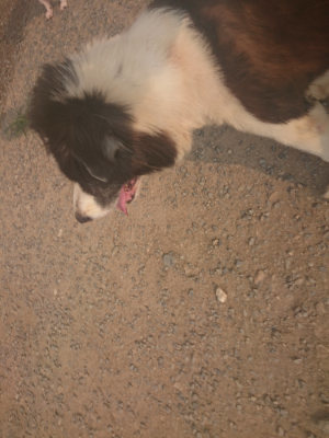 f:id:roukenhome-ann:20190803123237j:plain f:id:roukenhome-ann:20190803123237j:plain